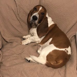 Meet your Posher, Whitney